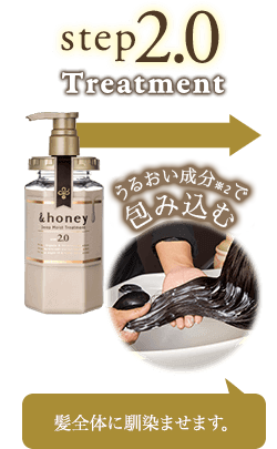step2.0 Treatment 髪全体に馴染ませます。