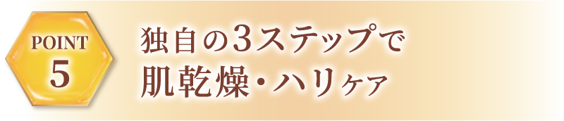 3段階の補修プログラム